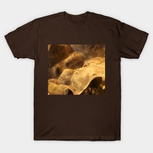 Brown dog face with eyes and snout T-Shirt